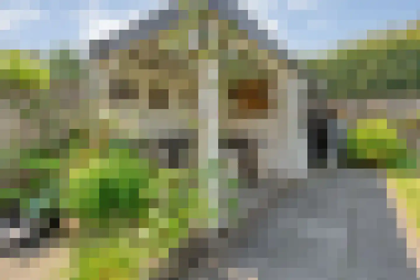 Havezathenallee 80 A Zwolle thumbnail 41