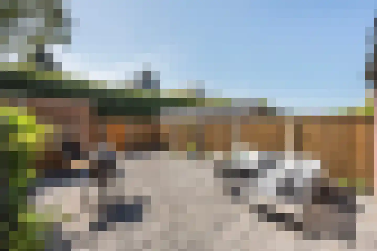 Havezathenallee 82 Zwolle thumbnail 12