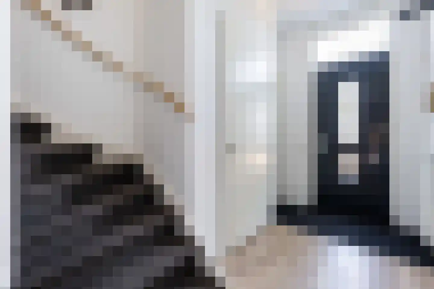 Havezathenallee 82 Zwolle thumbnail 16