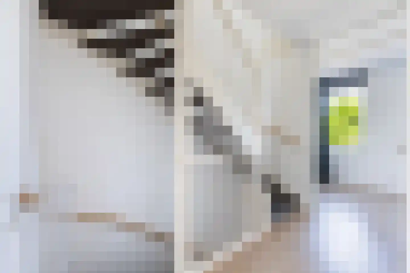 Havezathenallee 82 Zwolle thumbnail 18