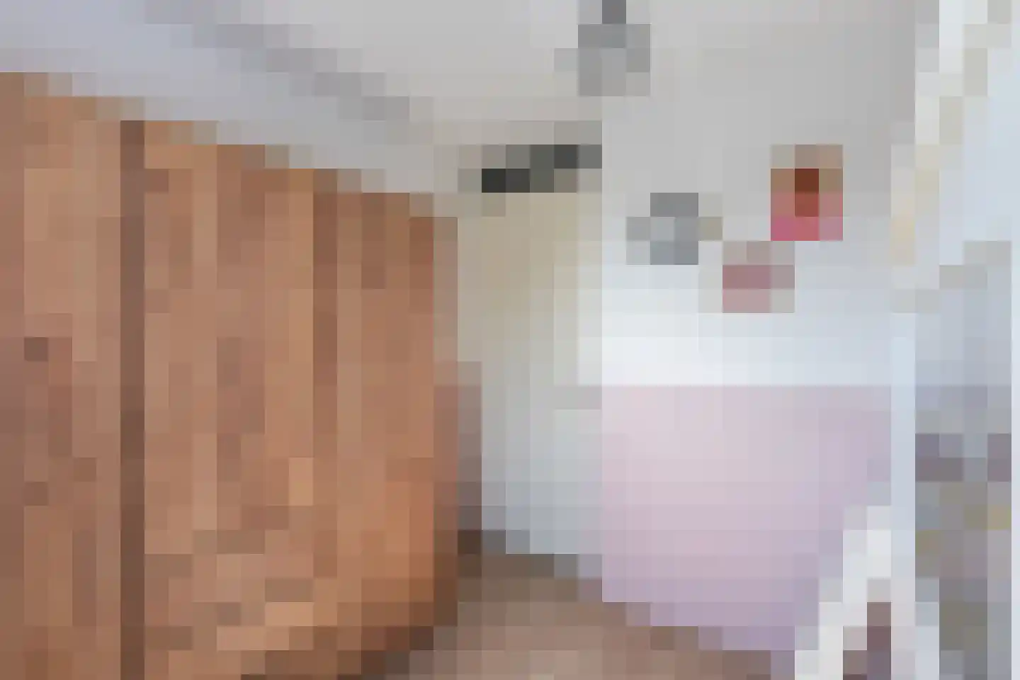 Havezathenallee 82 Zwolle thumbnail 25