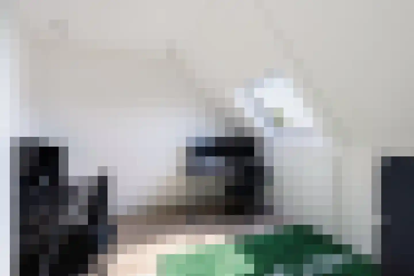 Havezathenallee 82 Zwolle thumbnail 29