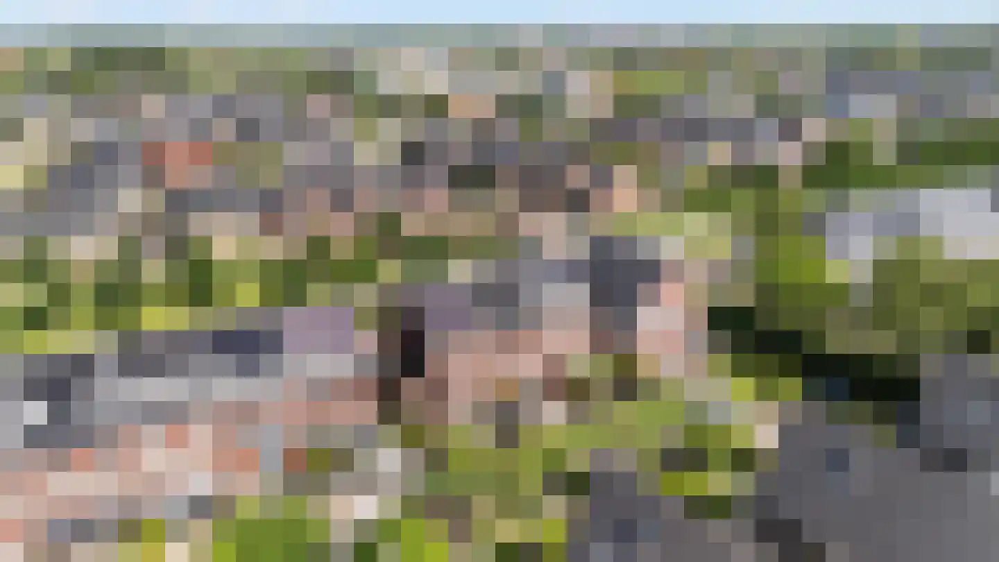 Havezathenallee 82 Zwolle thumbnail 33