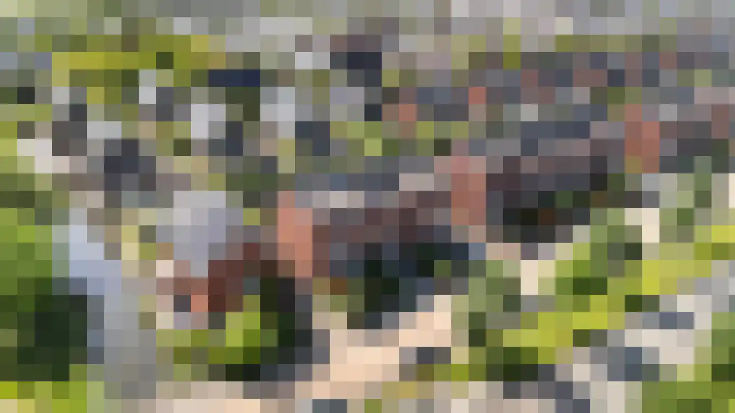Havezathenallee 82 Zwolle thumbnail 34