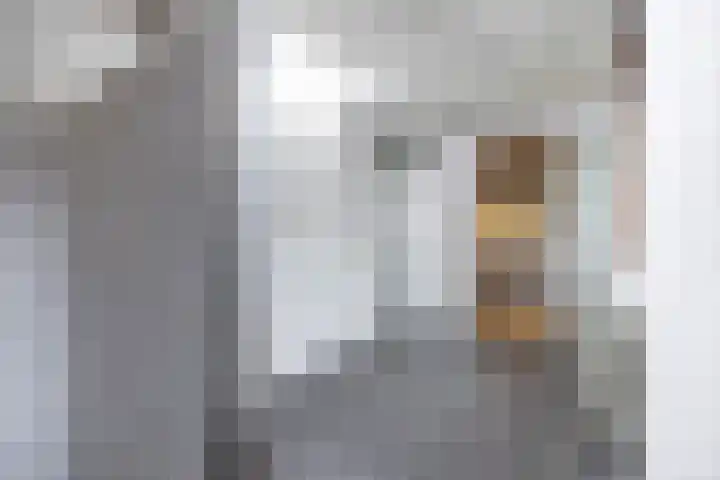Havezathenlaan 10 Roden thumbnail 16