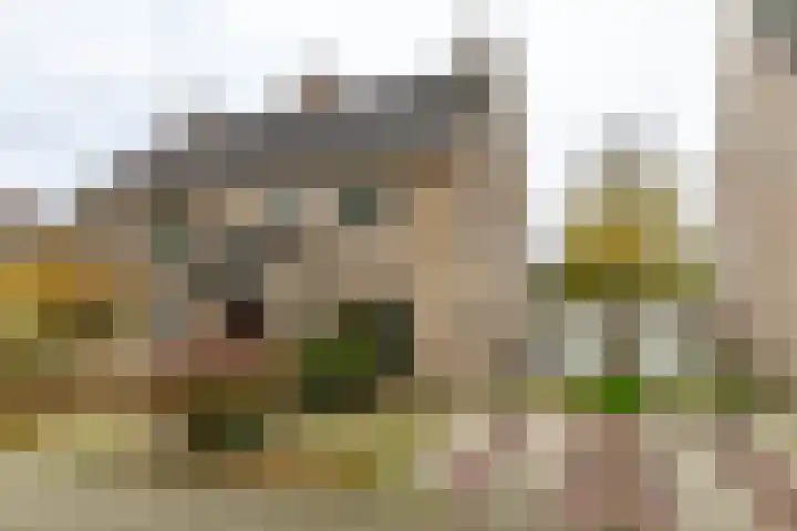Havezathenlaan 10 Roden foto 2