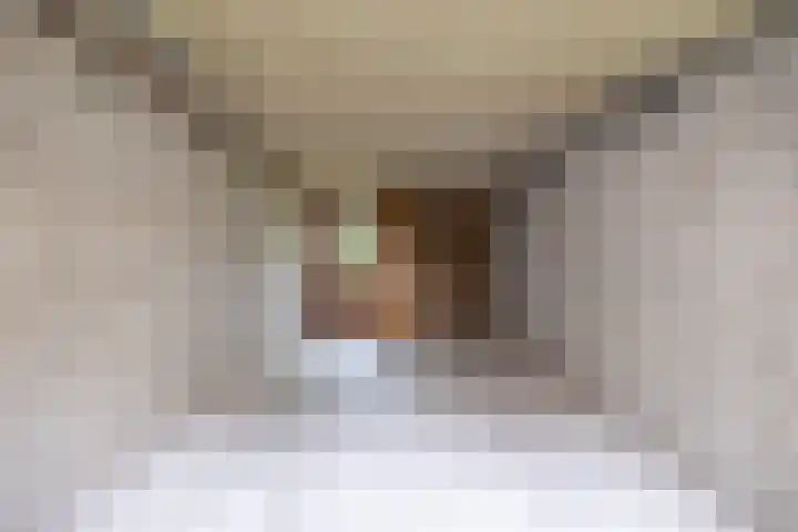 Havezathenlaan 10 Roden thumbnail 35