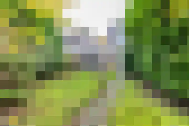 Havezathenlaan 10 Roden thumbnail 36