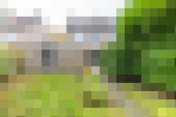Havezathenlaan 10 Roden thumbnail 37