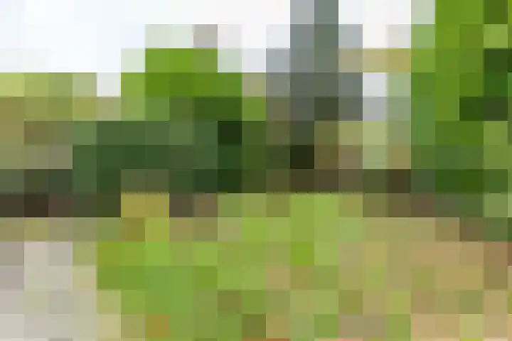 Havezathenlaan 10 Roden thumbnail 38