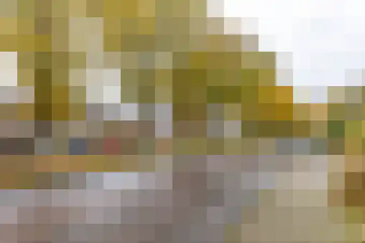 Havezathenlaan 10 Roden thumbnail 39