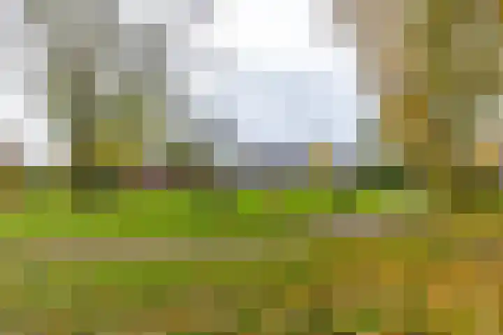 Havezathenlaan 10 Roden thumbnail 40