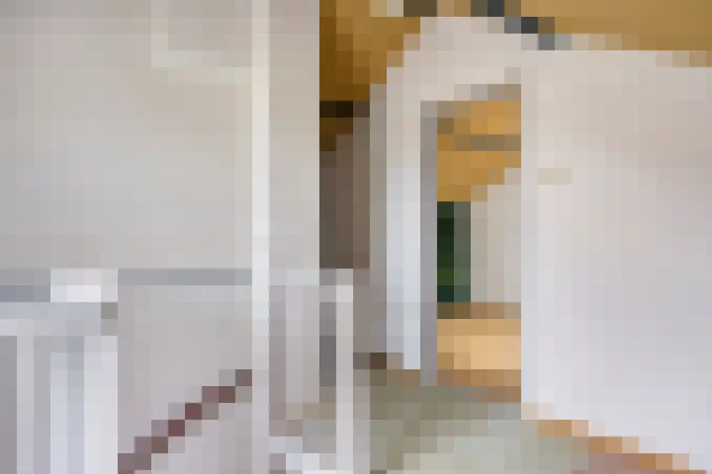 Havezathenlaan 121 Roden thumbnail 33