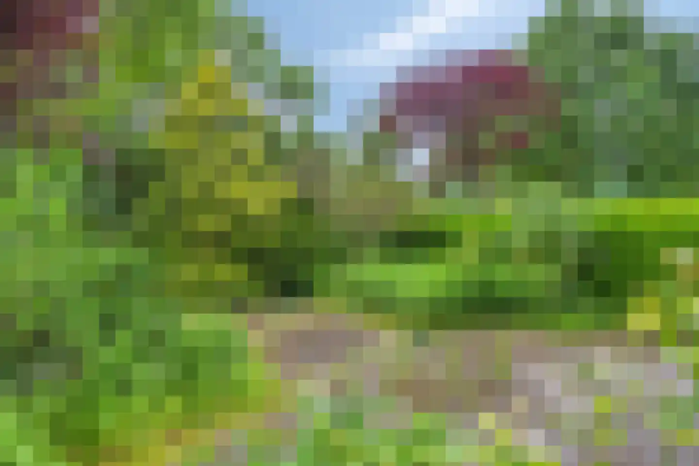 Havezathenlaan 121 Roden thumbnail 36