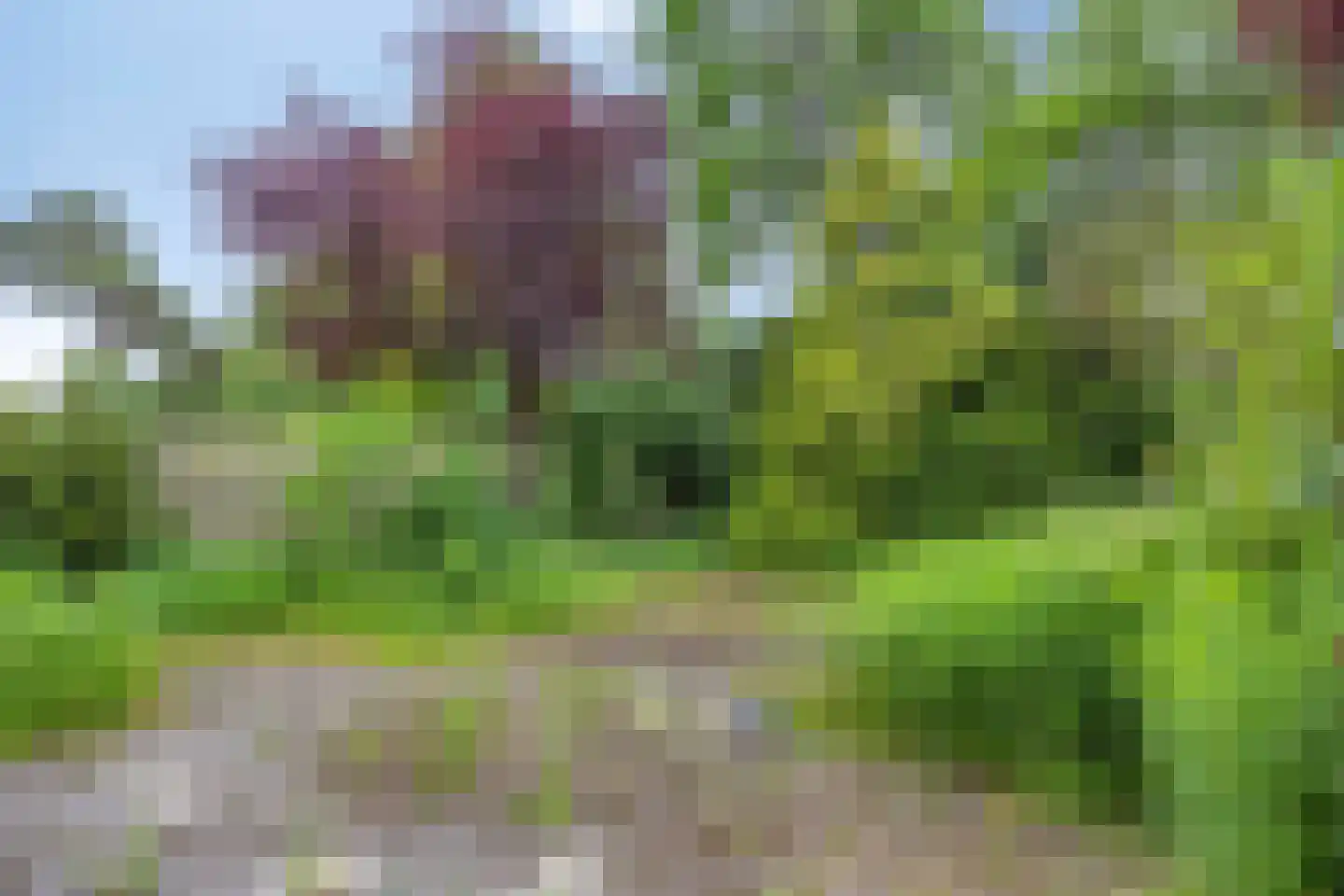 Havezathenlaan 121 Roden thumbnail 37