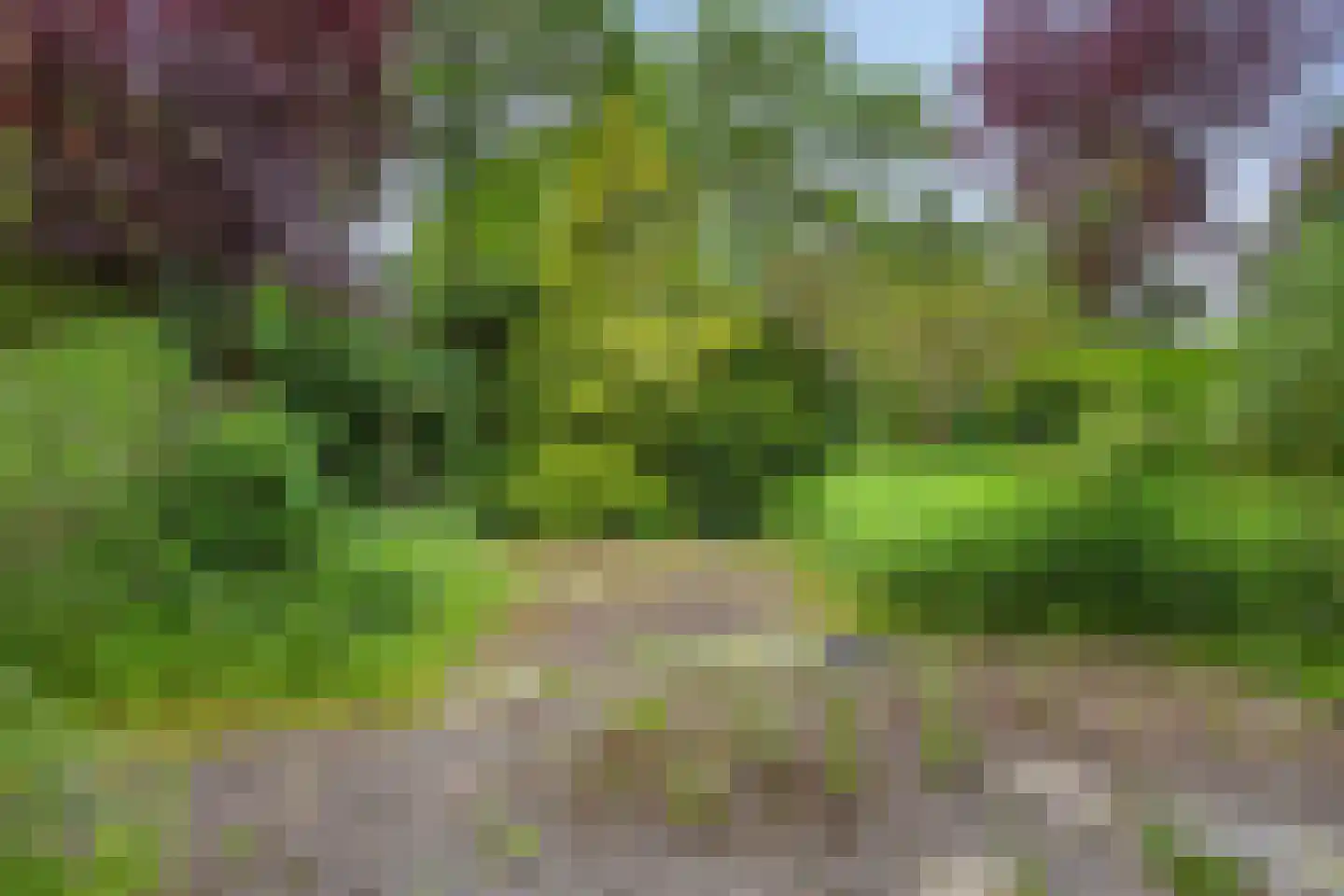 Havezathenlaan 121 Roden thumbnail 40