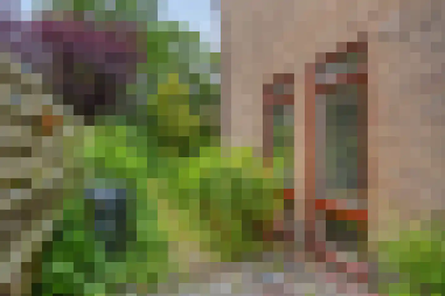 Havezathenlaan 121 Roden thumbnail 41