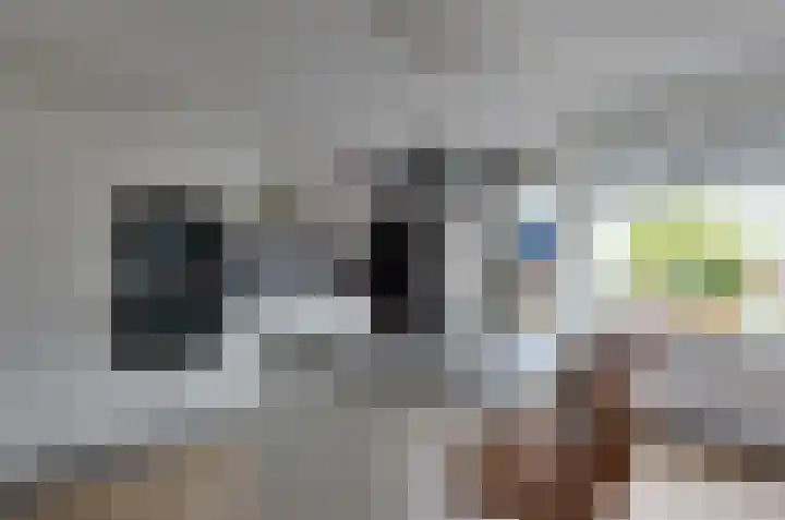 Havezathenlaan 19 Roden thumbnail 12