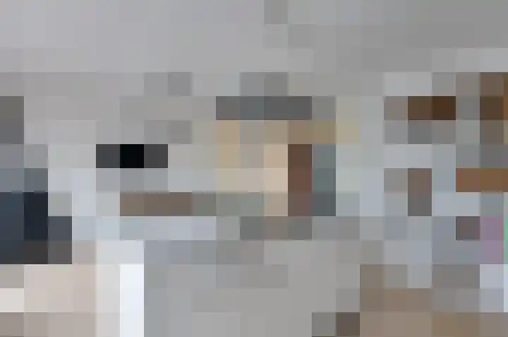 Havezathenlaan 19 Roden thumbnail 15