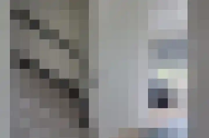 Havezathenlaan 19 Roden thumbnail 21
