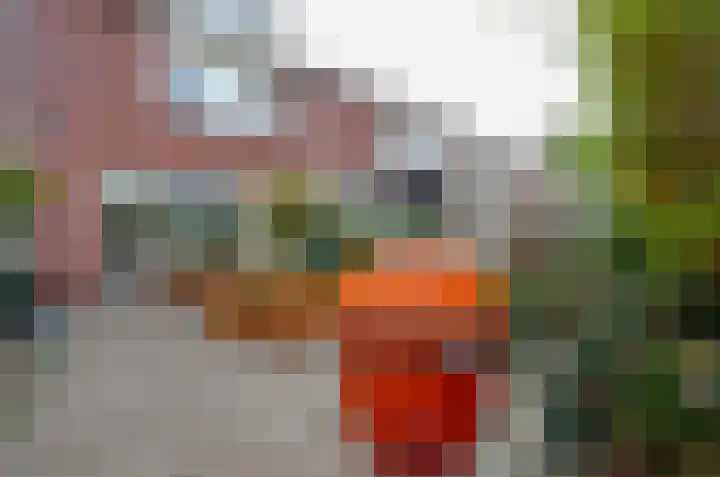 Havezathenlaan 19 Roden thumbnail 43