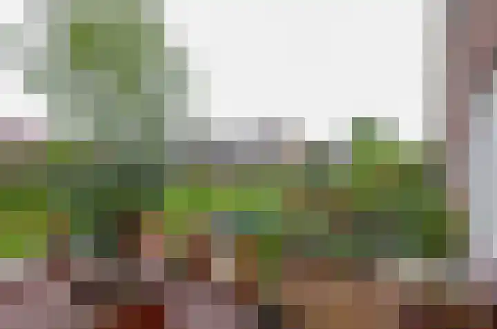 Havezathenlaan 19 Roden thumbnail 55