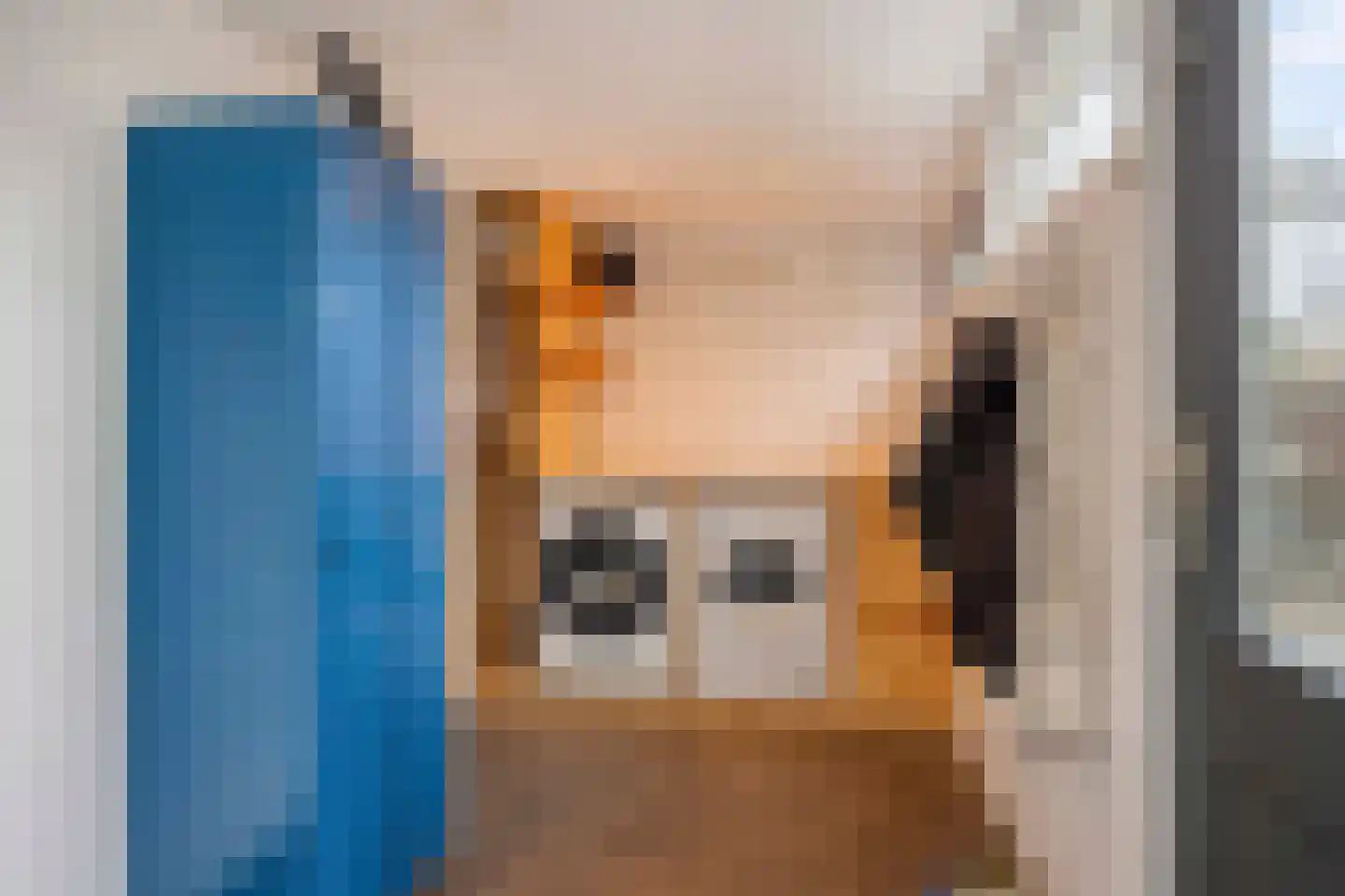 Havezathenlaan 53 Roden thumbnail 22