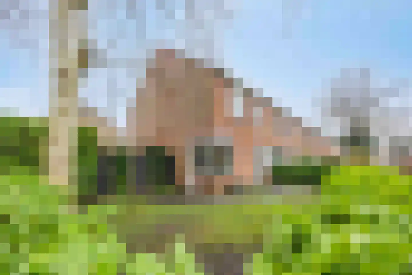 Havezathenlaan 53 Roden thumbnail 55