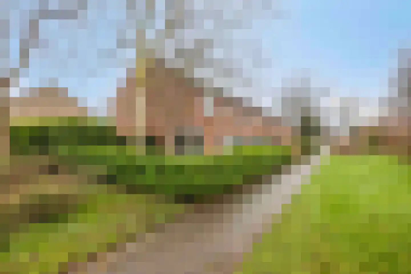Havezathenlaan 53 Roden thumbnail 58