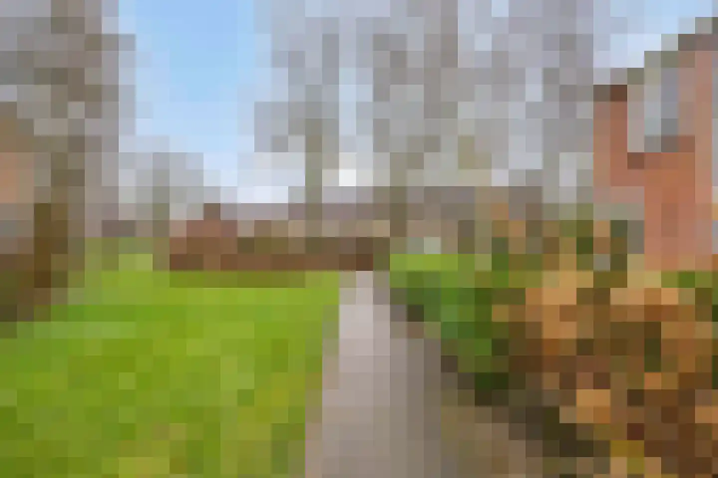 Havezathenlaan 53 Roden thumbnail 59