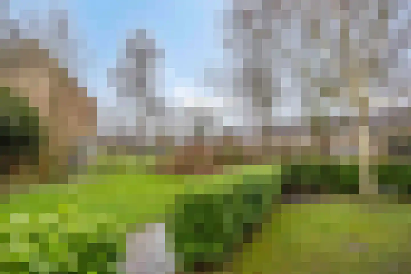 Havezathenlaan 53 Roden thumbnail 64