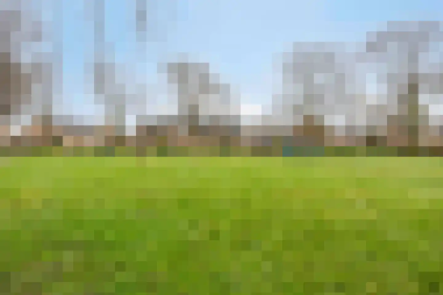 Havezathenlaan 53 Roden thumbnail 66