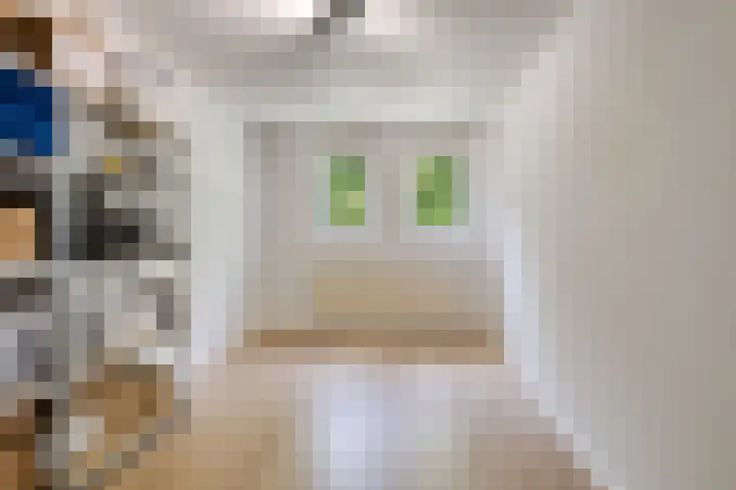 Havezathenlaan 95 Roden thumbnail 32