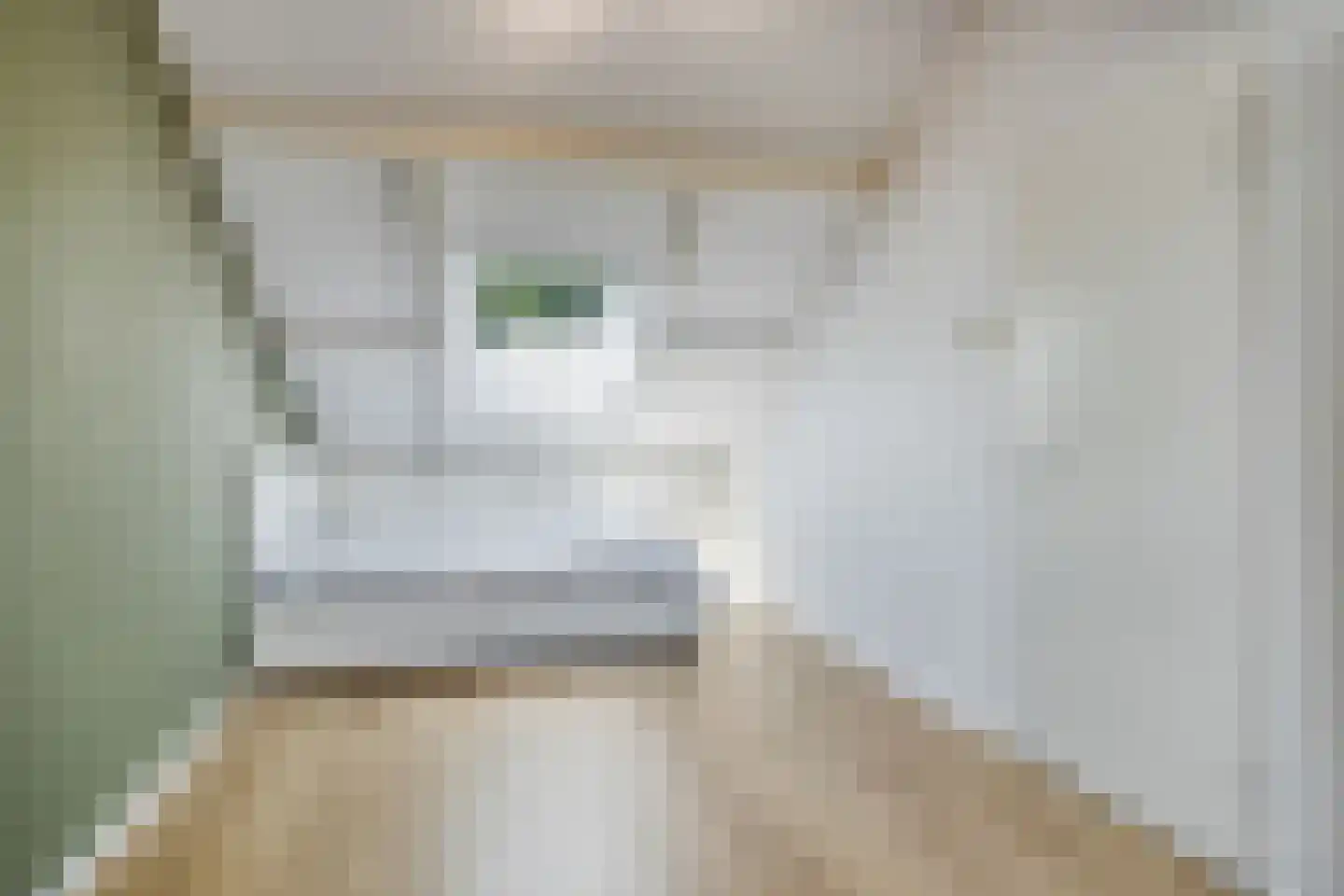 Havezathenlaan 95 Roden thumbnail 38
