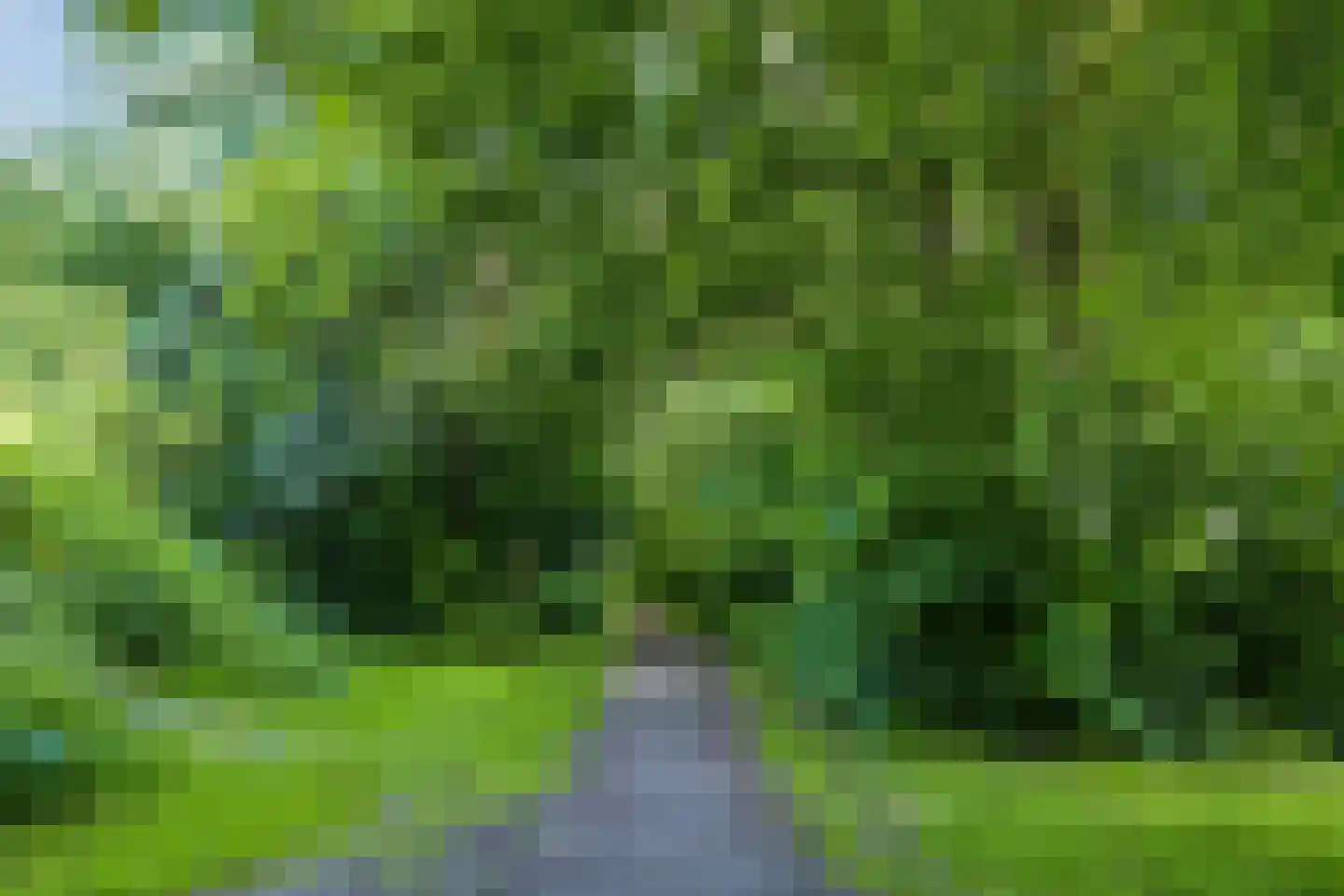Havezathenlaan 95 Roden thumbnail 75