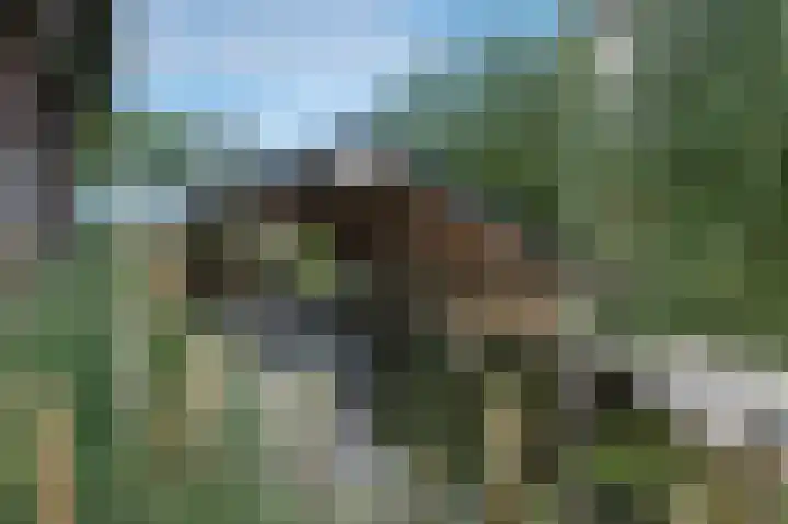 Havezatherweg 5 Belt-Schutsloot thumbnail 27