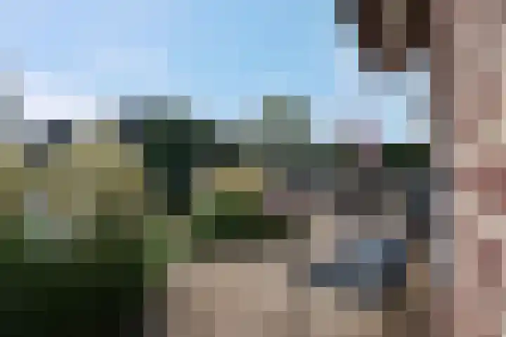 Havezatherweg 5 Belt-Schutsloot thumbnail 30