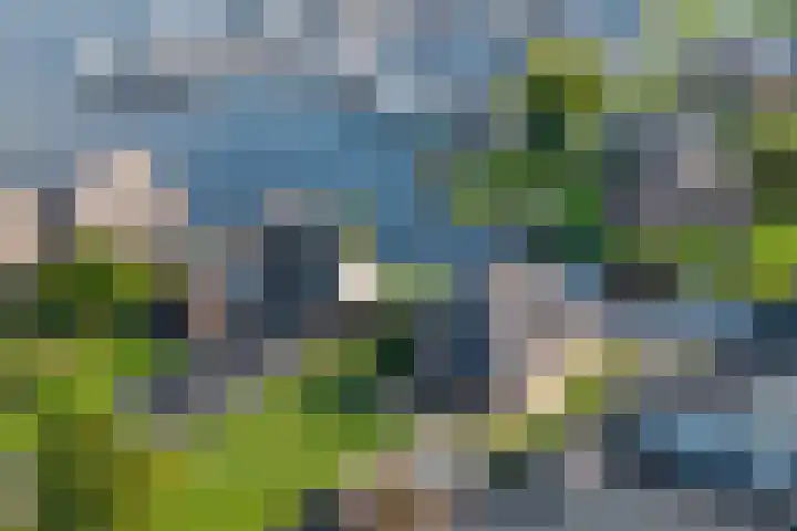 Havezatherweg 5 Belt-Schutsloot thumbnail 5