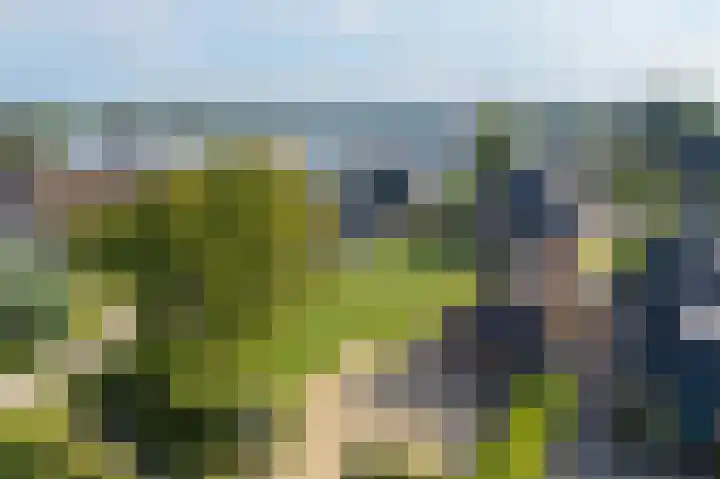 Havezatherweg 5 Belt-Schutsloot thumbnail 6