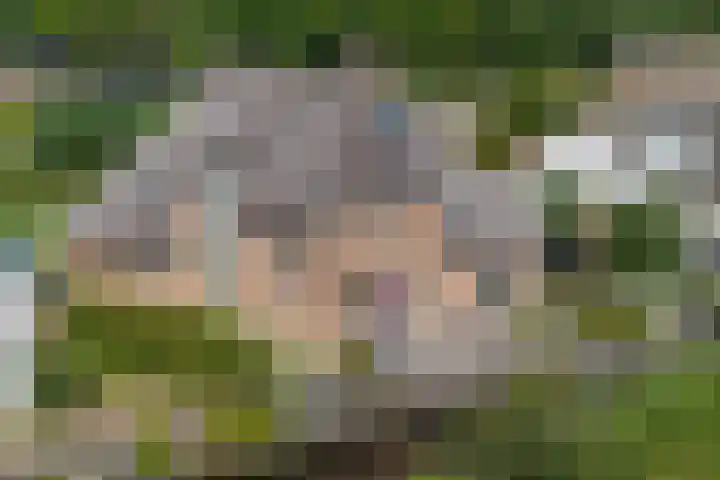 Havezatherweg 5 Belt-Schutsloot thumbnail 8