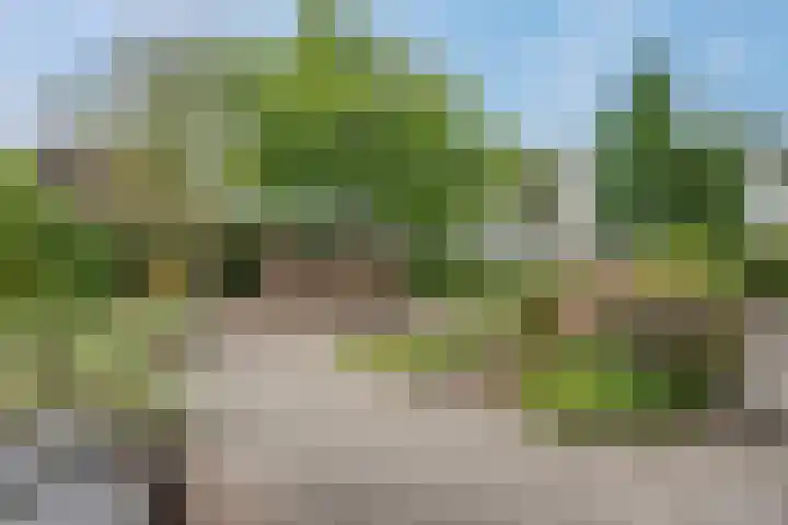 Havezatherweg 7 Belt-Schutsloot thumbnail 10