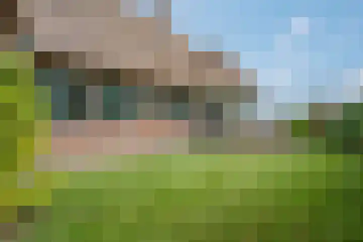 Havezatherweg 7 Belt-Schutsloot thumbnail 11