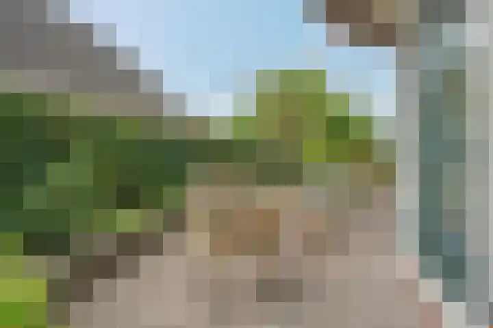 Havezatherweg 7 Belt-Schutsloot thumbnail 12