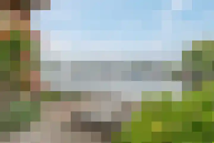 Havezatherweg 7 Belt-Schutsloot thumbnail 13