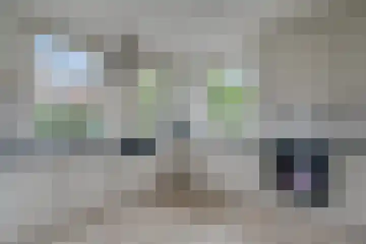 Havezatherweg 7 Belt-Schutsloot thumbnail 26