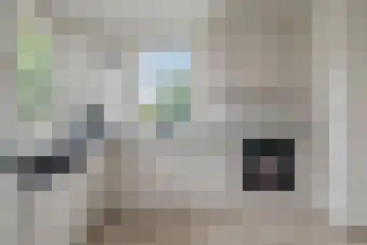Havezatherweg 7 Belt-Schutsloot thumbnail 27