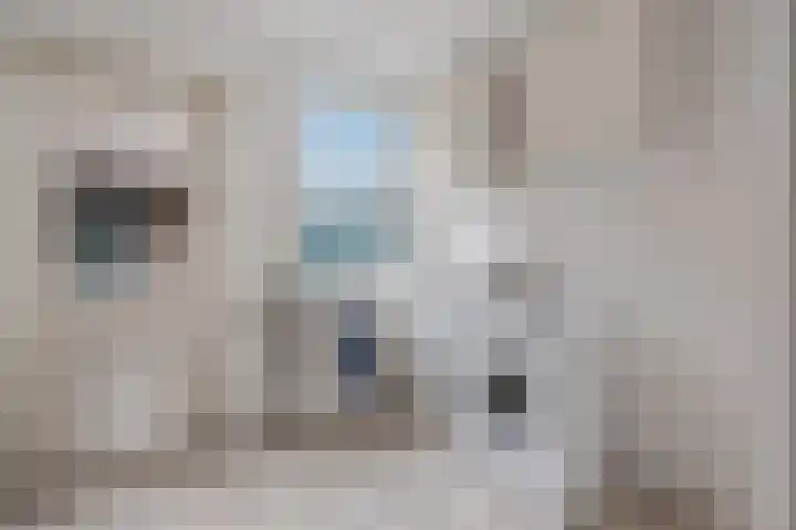 Havezatherweg 7 Belt-Schutsloot thumbnail 32