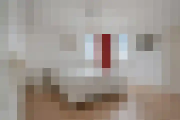 Havezatherweg 7 Belt-Schutsloot thumbnail 34