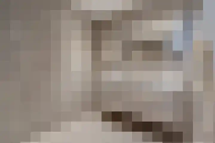 Havezatherweg 7 Belt-Schutsloot thumbnail 37