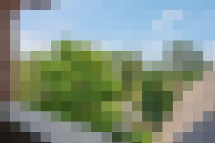 Havezatherweg 7 Belt-Schutsloot thumbnail 46